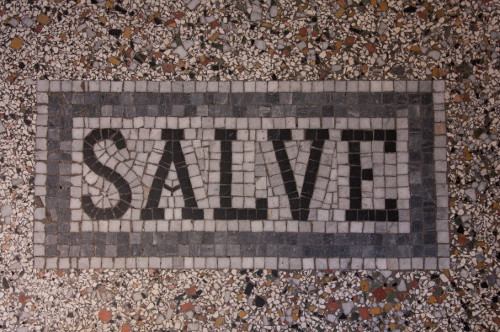 Salve - mozaika